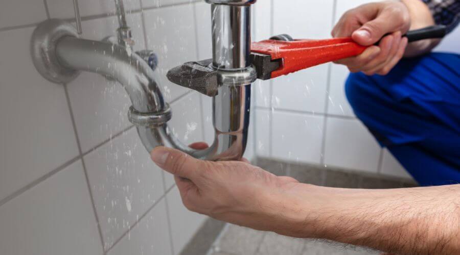 Professional Leak Detection services in Elora, TN